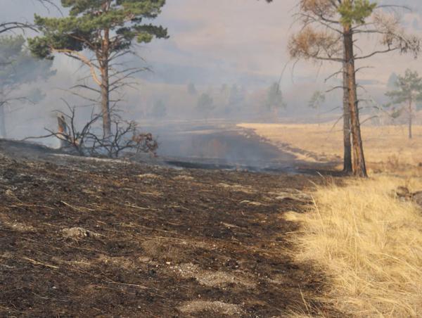 Хүдэр суманд гарсан ойн түймрийг унтраахаар ажиллаж байна