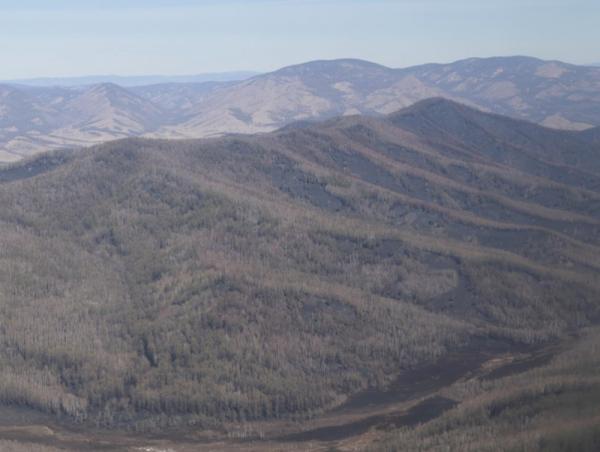 Аюулт үзэгдэл, ослын 117 удаагийн дуудлагаар ажиллаж, 157 иргэний амь насыг авран хамгааллаа