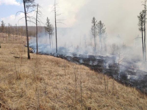 Хэнтий аймгийн Норовлин суманд гарсан ойн түймрийг бүрэн унтраажээ