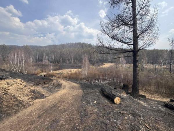 Түшиг суманд гарсан түймрийг бүрэн унтрааж, орон нутагт хүлээлгэн өглөө