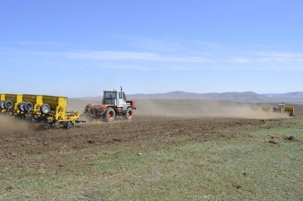 Хаврын тариалалтад 32.0 мянган тонн буудайн үр бэлэн байна