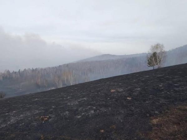 "Хан-Хэнтий" тусгай хамгаалалттай нутагт гарсан ойн түймрийг унтраахаар ажиллаж байна