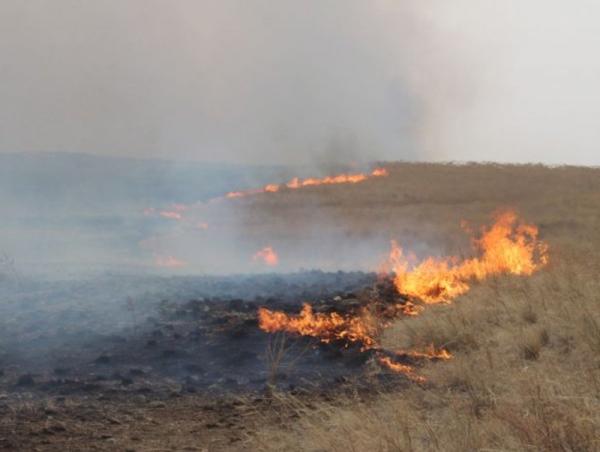 Дадал суманд гарсан хээрийн түймрийг унтраахаар ажиллаж байна