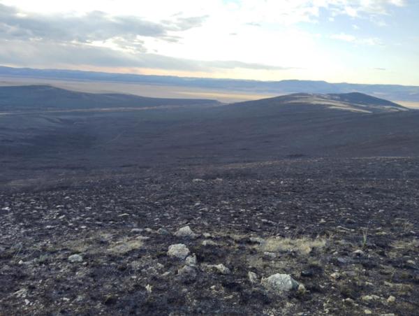 Хээрийн түймэрт урьдчилсан байдлаар 500 га талбай өртсөн байна