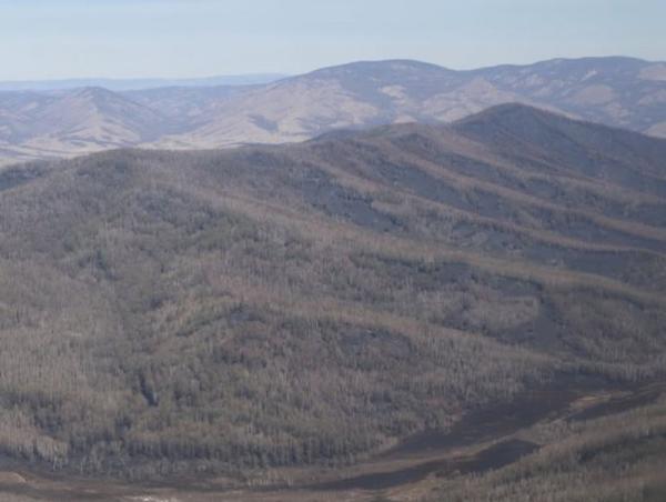 Сэлэнгэ аймгийн Ерөө суманд гарсан ойн түймрийг бүрэн унтраажээ