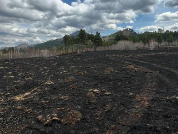 Түймрийн эрсдэлийн зураглалыг нэгтгэн гаргалаа