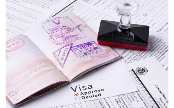 2025 оны байдлаар виз, визийн зөвшөөрөл олголт 98.1 хувьтай байна