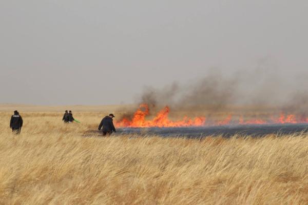 Сүхбаатар аймгийн Эрдэнэцагаан сумын нутагт гарсан хээрийн түймрийг унтраахаар ажиллаж байна
