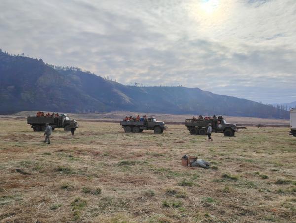 Дөрвөн суманд гарсан 5 ойн түймрийг унтраахаар ажиллаж байна