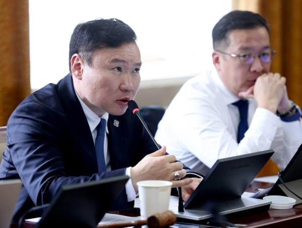 ХЭДХ: Гадаад улсад зорчиж буй, ажиллаж, амьдарч байгаа иргэдийн эрхийг хамгаалах чиглэлээр шийдвэр гаргав