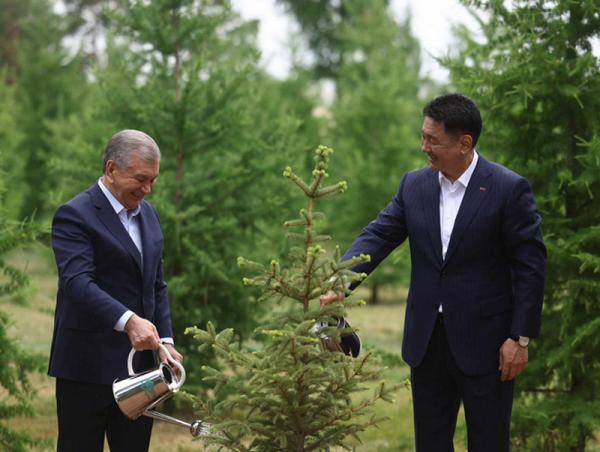 Ерөнхийлөгч У.Хүрэлсүх, Ш.Мирзиёев нар дурсгалын мод тарилаа
