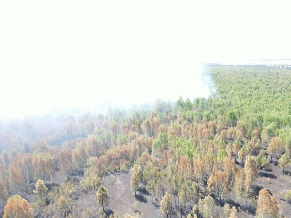 Улсын хэмжээнд 5 аймгийн 9 суманд гарсан 14 ой, хээрийн гал түймрийг унтраахаар ажиллаж байна