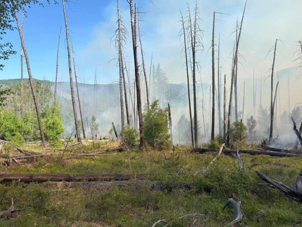 Хөвсгөл, Сэлэнгэ, Булган аймагт гарсан 7 түймрийг цурманд орууллаа