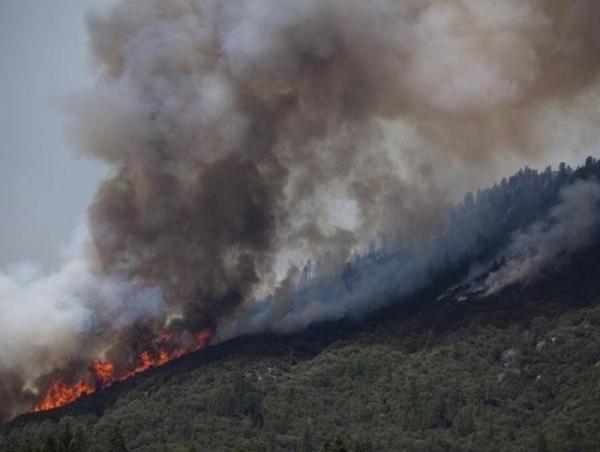 Ой, хээрийн түймрийн дуудлага 46.2 хувиар өссөн үзүүлэлттэй байна