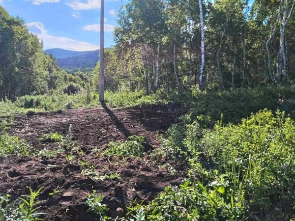 Ноён уулын дархан цаазат газарт хууль зөрчсөн үйл ажиллагааг таслан зогcоолоо