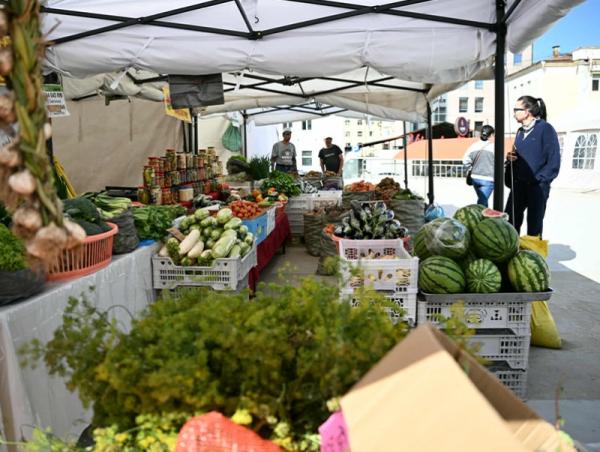 "Алтан намар-2025&rdquo; өргөтгөсөн худалдаагаар бүх төрлийн ногоог хямд үнээр борлуулж байна