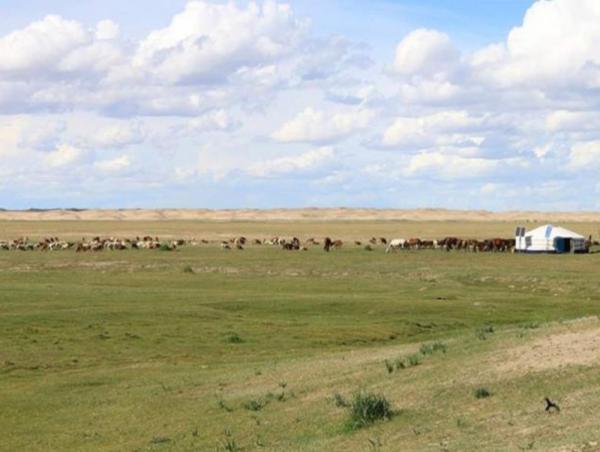 Нийт нутгийн 40 хувьд гантай болон гандуу байна