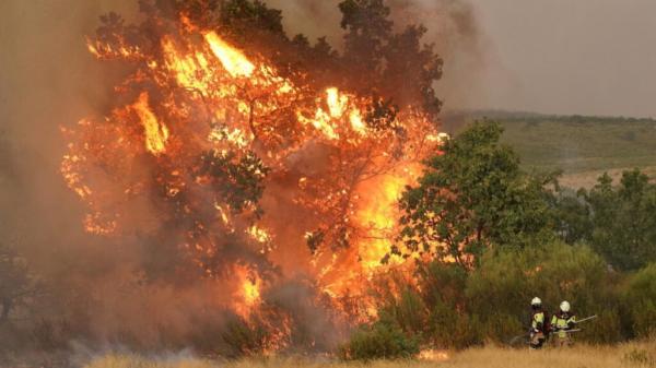 Испани улс түймрийн гамшгийг даван туулахад Европын түнш орнуудаас тусламж хүслээ