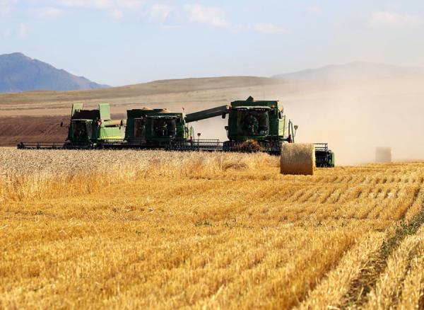 Ургац хураалтад иргэдийг сайн дурын үндсэн дээр оролцуулна