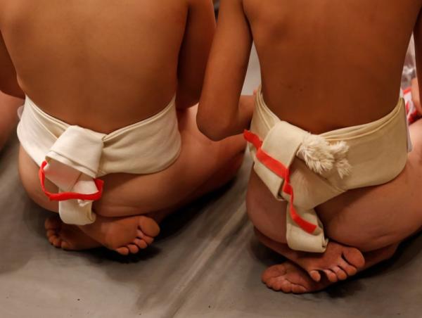 "Тokusegawa U-15 sumo cup 2025” тэмцээн болно