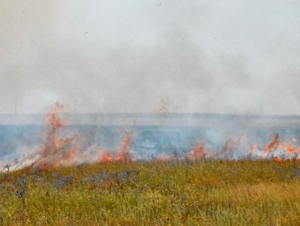 Дорнод аймагт гарсан хээрийн гал түймрийг бүрэн унтраалаа