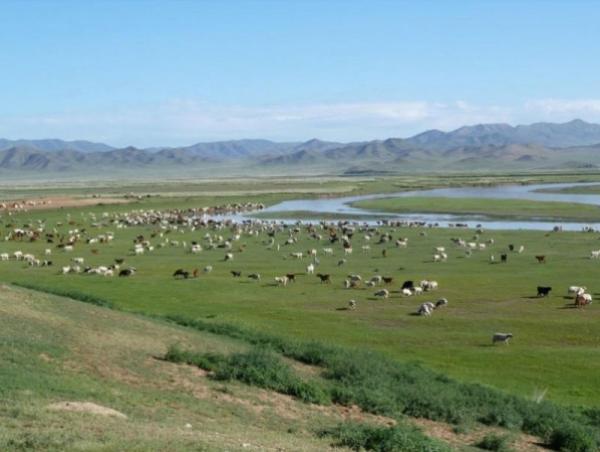 Өвөл-хаврын бэлчээрийн даац нутгийн 60 орчим хувьд хүрэлцээтэй байна