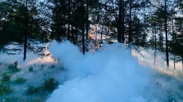 Ойн хөнөөлт шавж, өвчний судалгааг хийж, голомтыг хязгаарлах тэмцлийн ажлыг хийж гүйцэтгэлээ