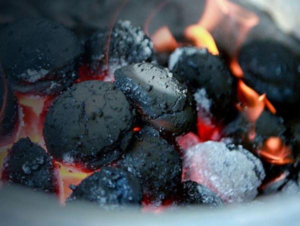 Хагас коксон түлшний үйлдвэрийг төр, хувийн хэвшлийн түншлэлээр барих тендерийг аравдугаар сард зарлана