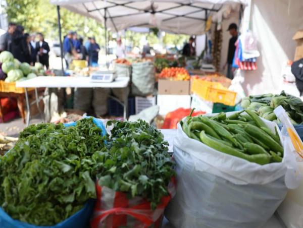 “Намрын ногоон өдрүүд-2025” Төв цэнгэлдэх хүрээлэнд энэ сарын 28-ны өдөр хүртэл үргэлжилнэ