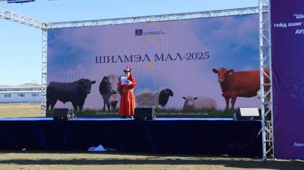 “Шилмэл мал-2025” үзэсгэлэн, дуудлага худалдаа боллоо