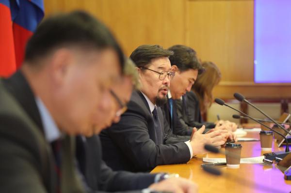 Баялгийн хулгайтай тэмцэх тусгай ажлын хэсэг байгууллаа