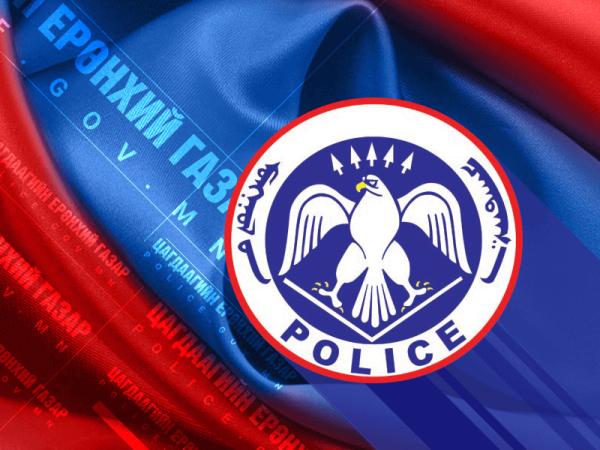 Энэ онд автомашинаа хулгайд алдсан гэх 220 тохиолдол цагдаагийн байгууллагад бүртгэгджээ