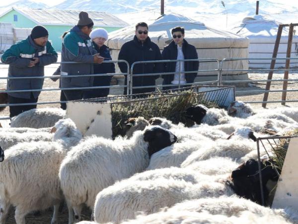 Баянхонгор аймгийн 8 сум зудын их эрсдэлтэй ангилалд байна