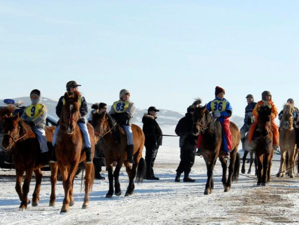 "Дүнжингарав" хурдан морины уралдааныг дахин сэргээхээр болжээ