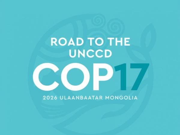 COP17-д зориулсан соёл, урлагийн хөтөлбөрийн бэлтгэл эрчимжиж байна